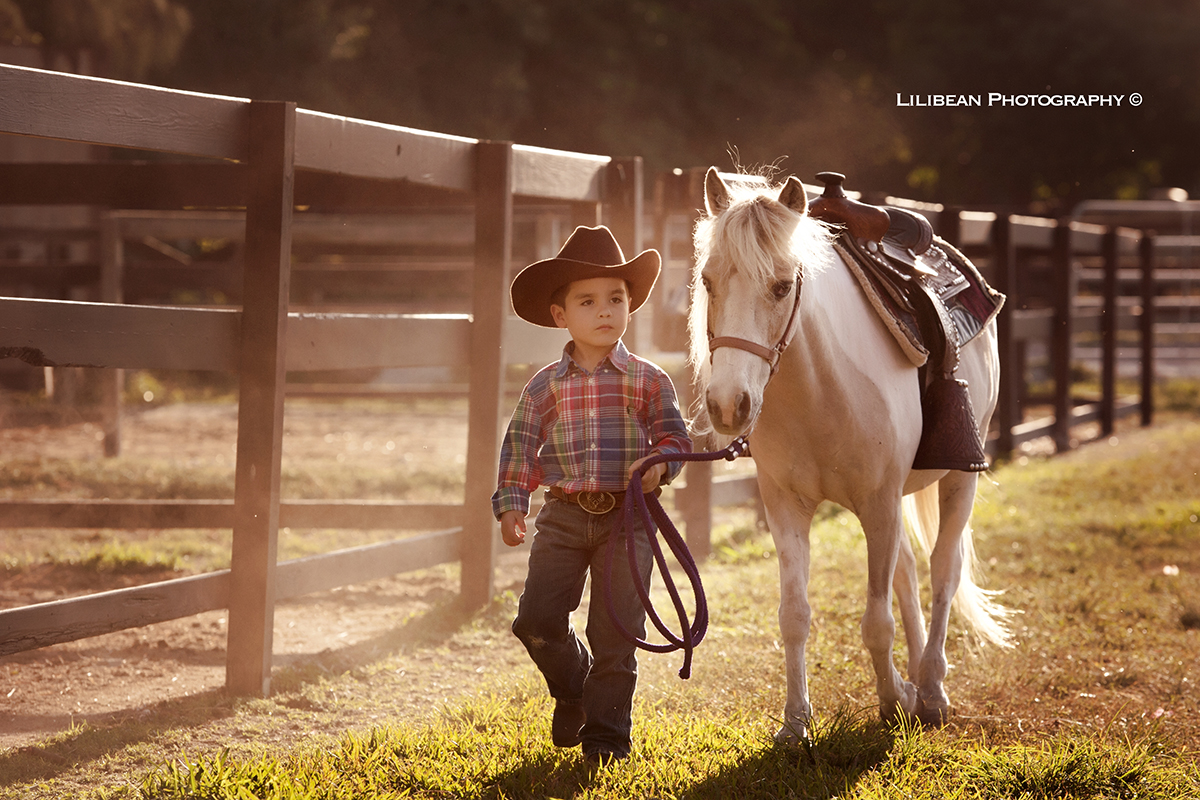 1 South Florida Family Photographer miami broward equine ranch horse ponies pony rides kids photography professional photographer animals farm