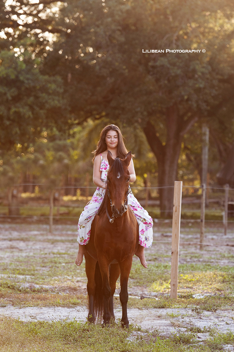 6 South Florida Family Photographer miami broward equine ranch horse ponies pony rides kids photography professional photographer animals farm