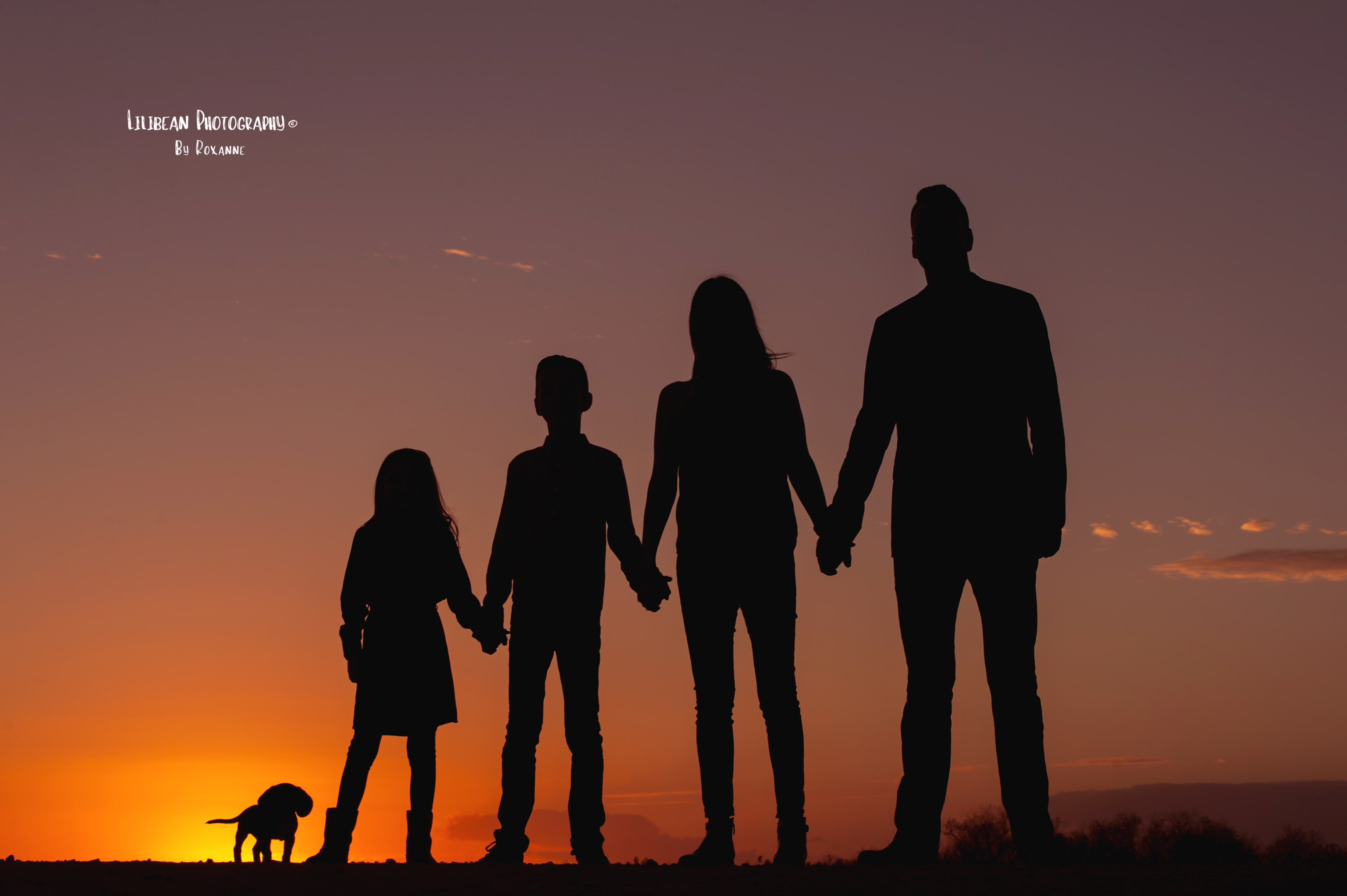 14-miami-broward-family-photographer-everglades-sunset-parkland-florida-national-park-lilibean-photography-lion-king-simba-silhouette