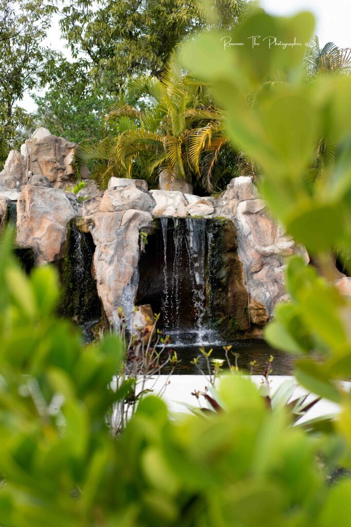 waterfall quince photographer